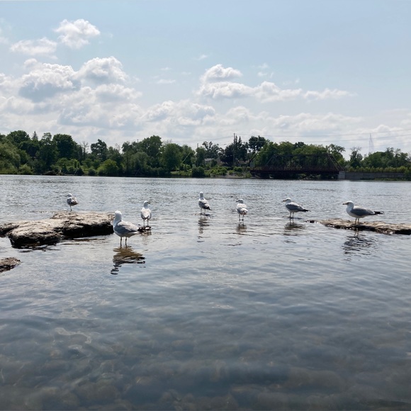 Meet your Posher! - Picture 1 of 1